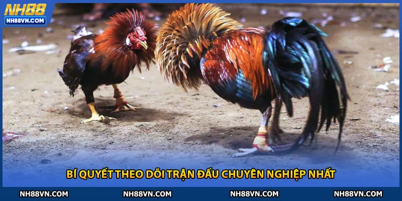 Bí quyết theo dõi trận đấu chuyên nghiệp nhất tại nh88