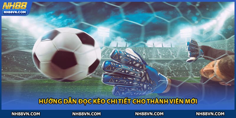 Hướng dẫn đọc kèo chi tiết cho thành viên mới tham gia nh88
