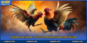 Xem Đá Gà Cựa Sắt - Tối Ưu Lợi Nhuận, Giảm Thiểu Rủi Ro